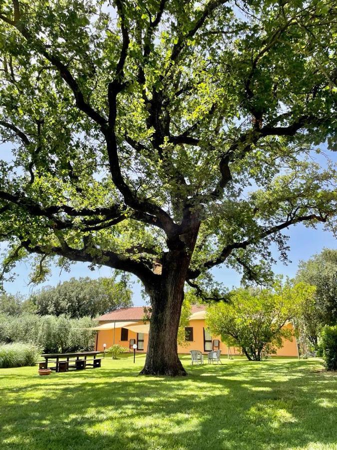 Agriturismo I Tre Fossi Magliano in Toscana Kültér fotó