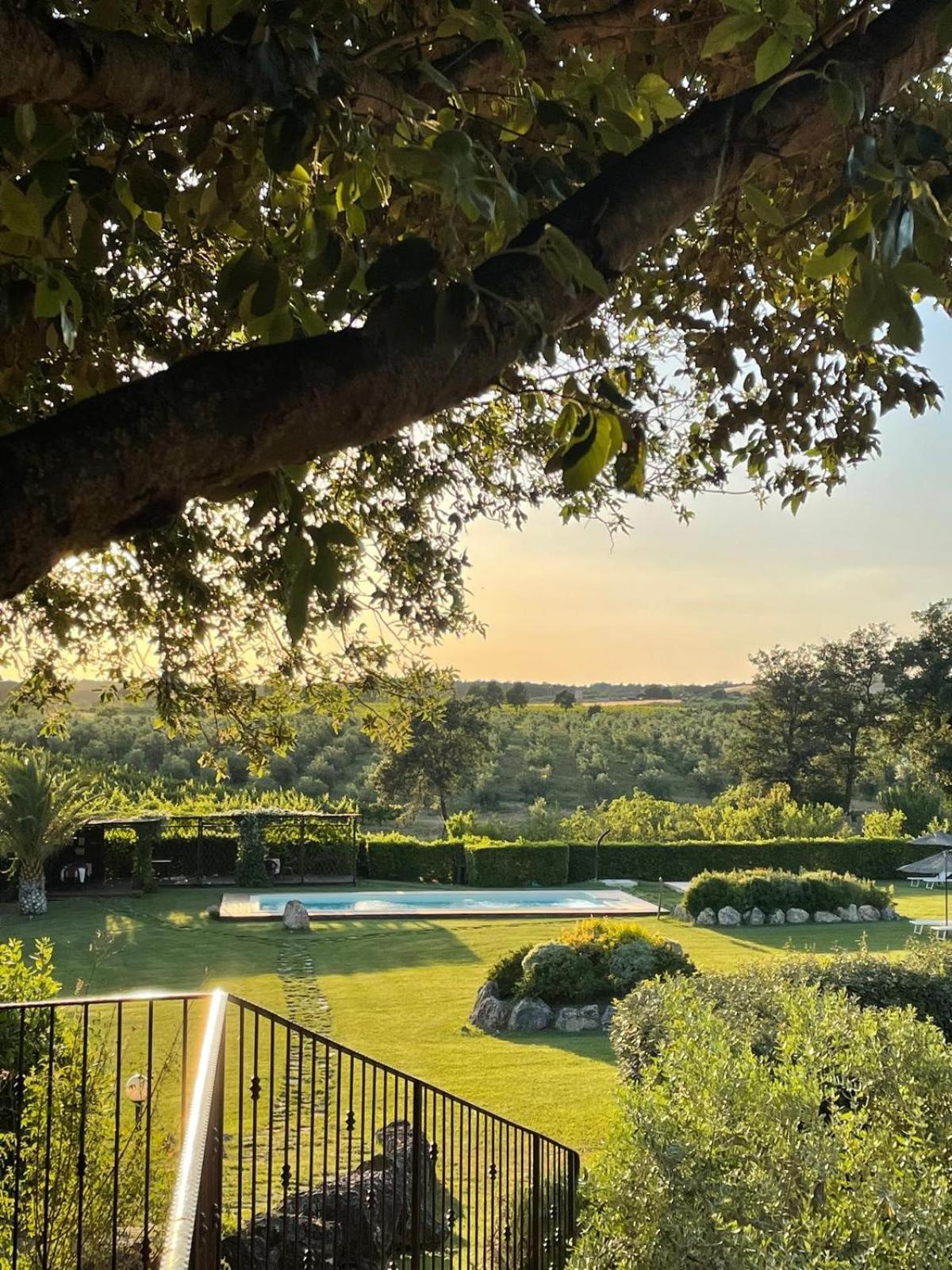 Agriturismo I Tre Fossi Magliano in Toscana Kültér fotó